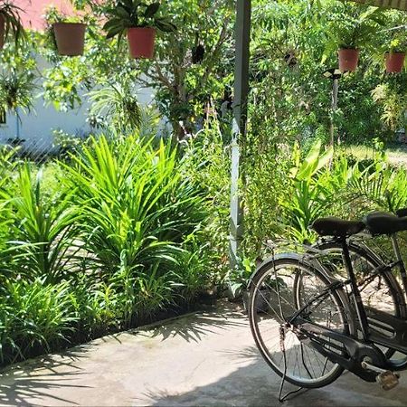 The Purple House Apartment เสียมราฐ ภายนอก รูปภาพ